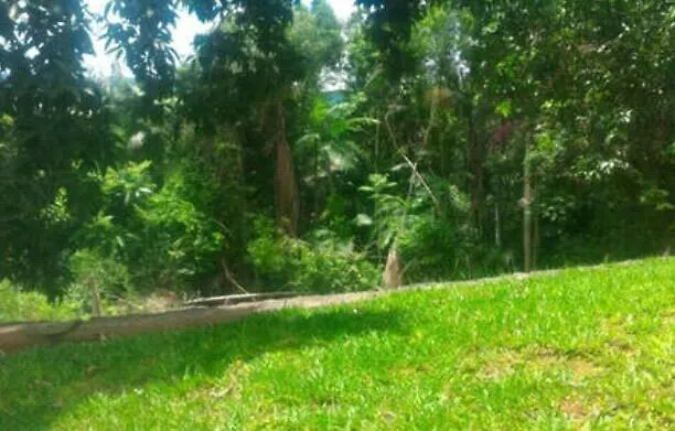Hostel Sil Cardoso Blumenau 0*,